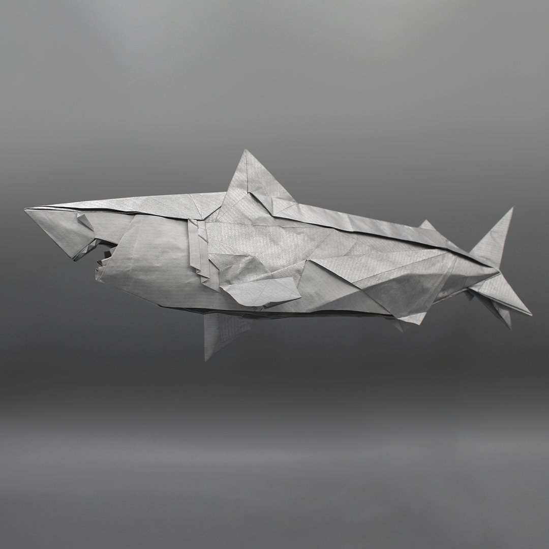 origamitor's tweet photo. 🦈 Great White Shark 🦈 – Tu Kaiming (@HS1espRFeNGk6Yo)

Folded by me from crease pattern (45x45cm kraft paper). 

https://t.co/ymoxMfR5pg https://t.co/MFRpBgew3g