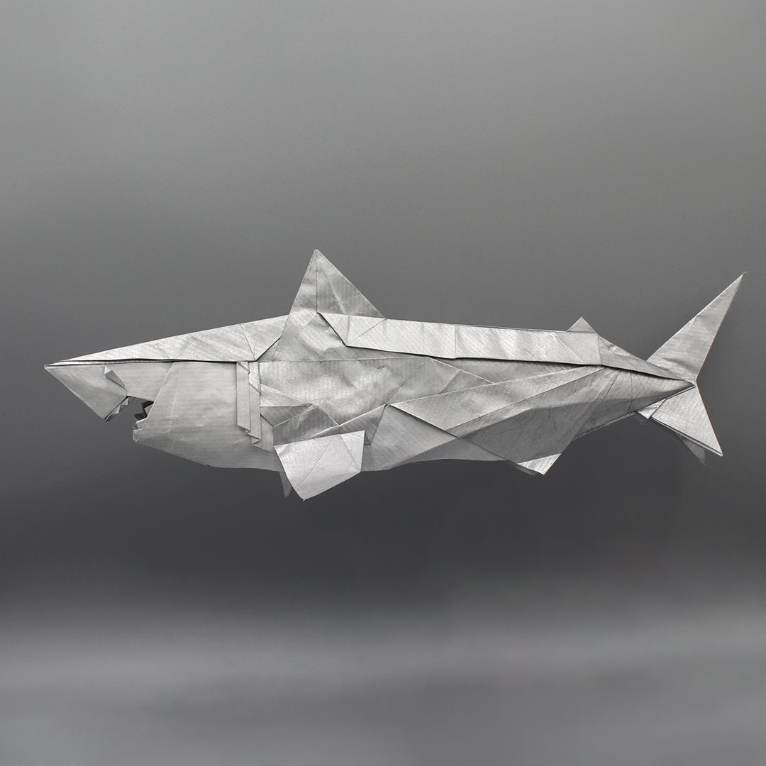 origamitor's tweet photo. 🦈 Great White Shark 🦈 – Tu Kaiming (@HS1espRFeNGk6Yo)

Folded by me from crease pattern (45x45cm kraft paper). 

https://t.co/ymoxMfR5pg https://t.co/MFRpBgew3g