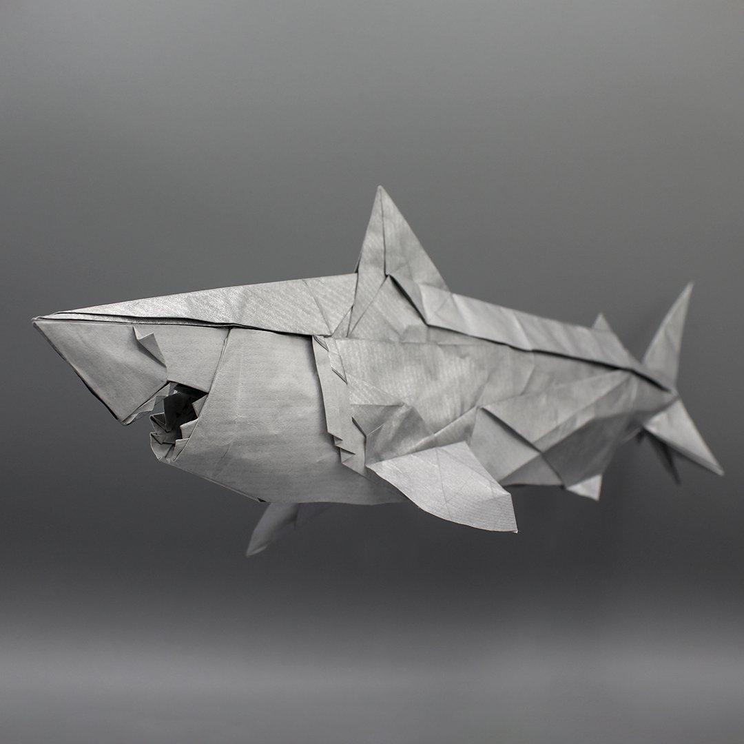 origamitor's tweet photo. 🦈 Great White Shark 🦈 – Tu Kaiming (@HS1espRFeNGk6Yo)

Folded by me from crease pattern (45x45cm kraft paper). 

https://t.co/ymoxMfR5pg https://t.co/MFRpBgew3g