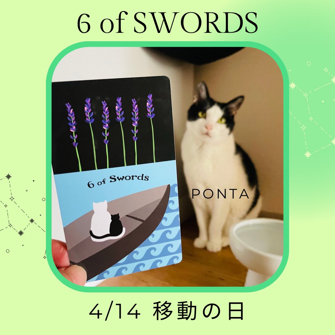 oraclerinko's tweet photo. 4/14移動の日🚣あちらからこちらへの場所を移動することもあれば状況の移動もありそう。いずれにしろ混沌とした所から落ち着いた所への移動。ホッとひと安心できそうです🤗自分の居場所について見方を変えてみて☝️#6ofSWORDS #もぐもぐするニャ #タロット #猫 https://t.co/U8g1wjlcA6