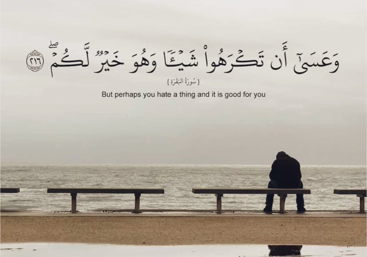 الوليد الامساعداة الإنسانية (@datalamsa11813) on Twitter photo 