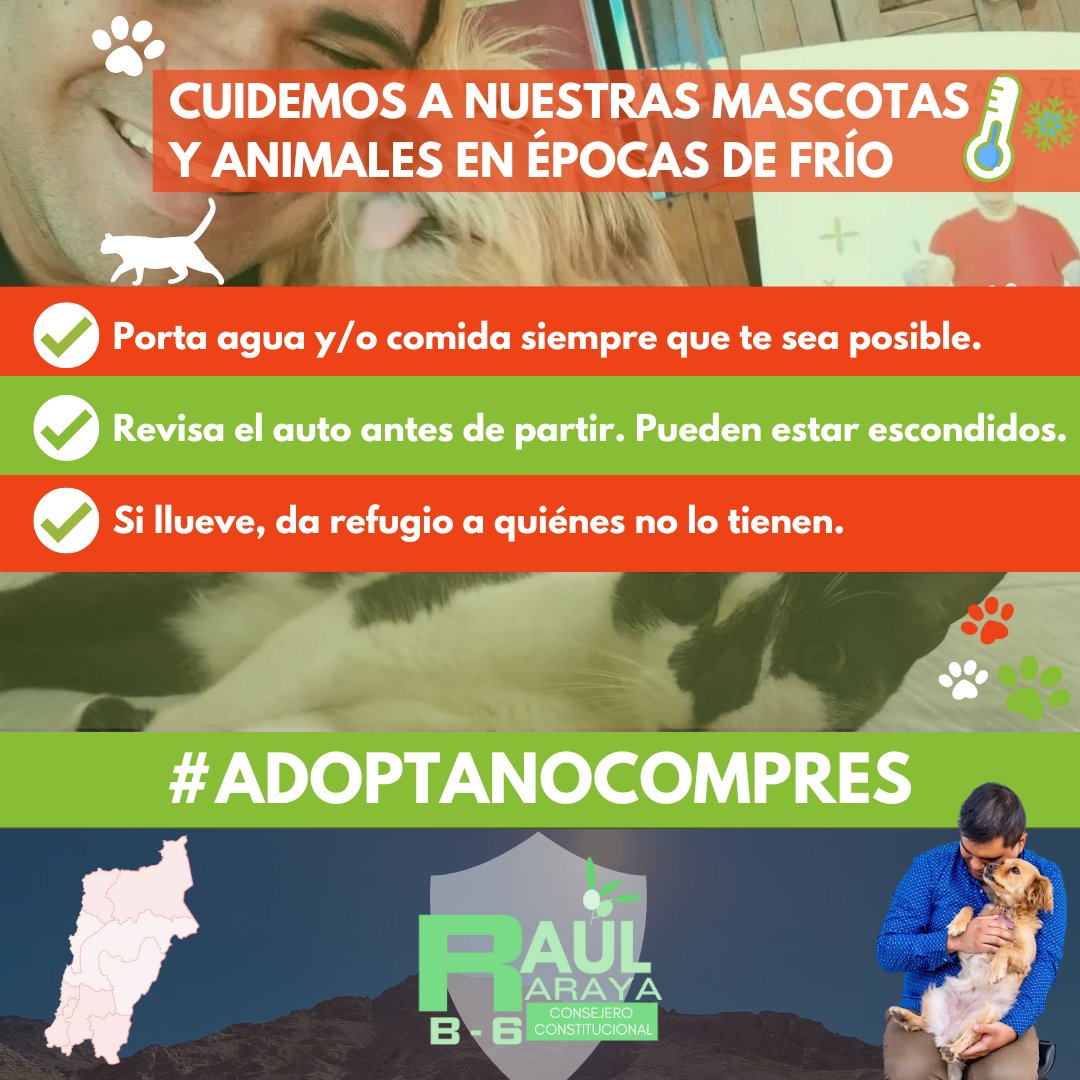 raularayaz's tweet photo. Toma las precauciones e involúcrate. Puedes marcar la diferencia y cambiar vidas. ✨ https://t.co/DrhDcBKAwN