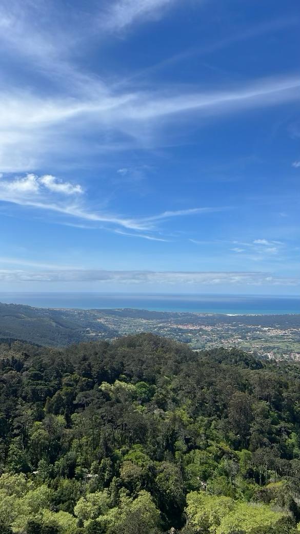 MHS-ULIS Exchange Day 3 - Train ride to Sintra. Visited Palácio da Pena. 🇵🇹 #mineolaproud #unitedlisboninternationalschool