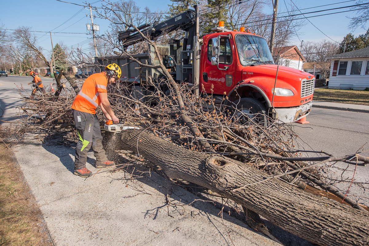 Let's take the time to thank all city employees who remain mobilized on site. We commend their relentless efforts and unwavering devotion throughout this freezing rain event and its aftermath.