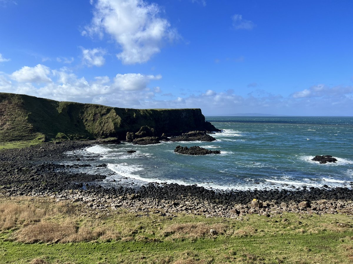 Derek Armstrong tweet media