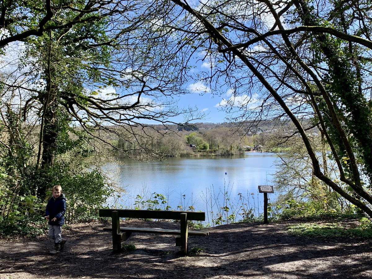 WalkingWorksWonders tweet media