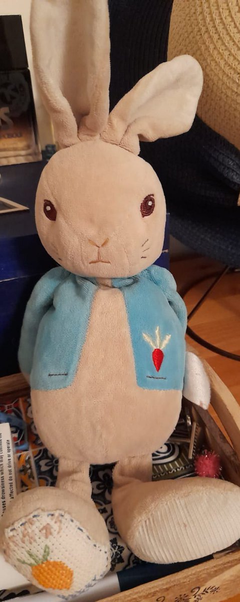 RichardHaynes9's tweet photo. Please - we need this to go viral
#bringPeterRabbitHome
It's been a year to the day that our 7yr old autistic daughter, Sophia, lost her beloved &amp; unique Peter Rabbit soft toy on trains between Walthamstow &amp; Roydon, Essex. If you're aware of his location, PLEASE reply. Thank you https://t.co/DR7AmYISFj