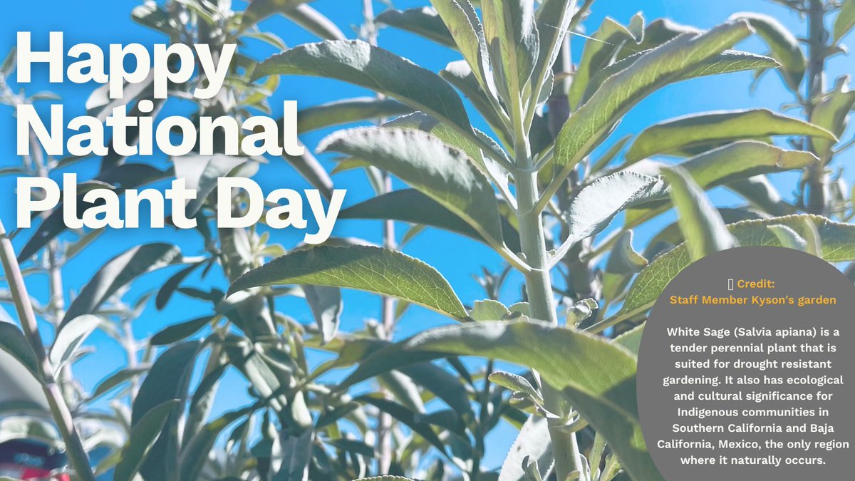 phil_together's tweet photo. Happy National Plant Day! 🌱 

Grow our #CollectiveGiving 🌿

#Philanthropy #NationalPlantDay https://t.co/5YuDtxH6RZ