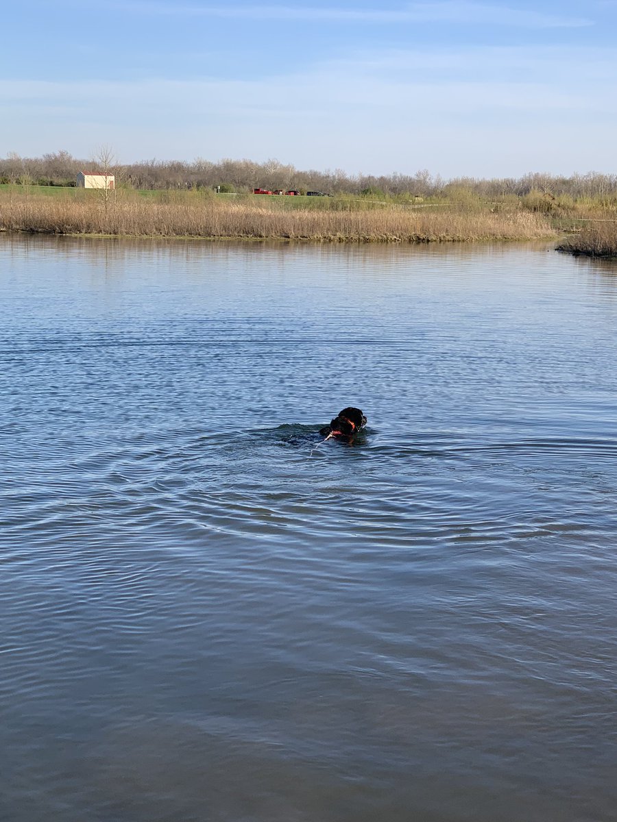 Swim season is here!!!! 🐶🐾🐶