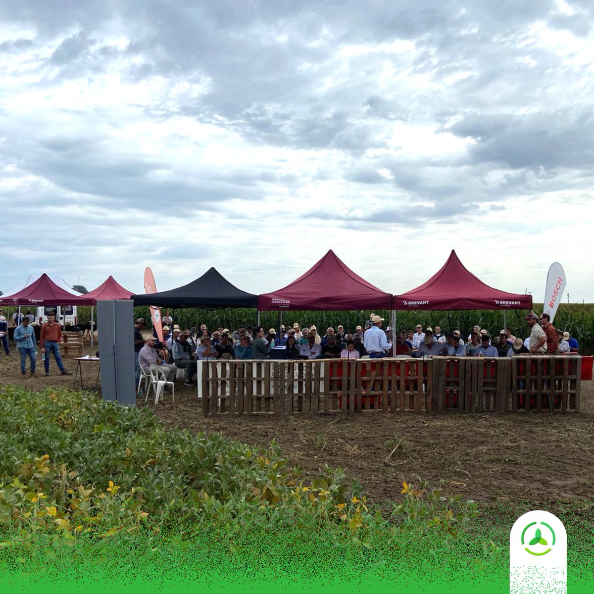 AgroconsultorSA's tweet photo. 🆙 😎

¡Más de 100 asistentes y un gran intercambio técnico en la jornada del #MIBDiegoDeAlvear!

🌽🌱 Con el equipo de @BrevantSemillas y @YaraArgentina esta semana presentamos ensayos de distintas tecnologías para #soja y #maíz que trabajamos conjuntamente. https://t.co/grP3QZoBOg