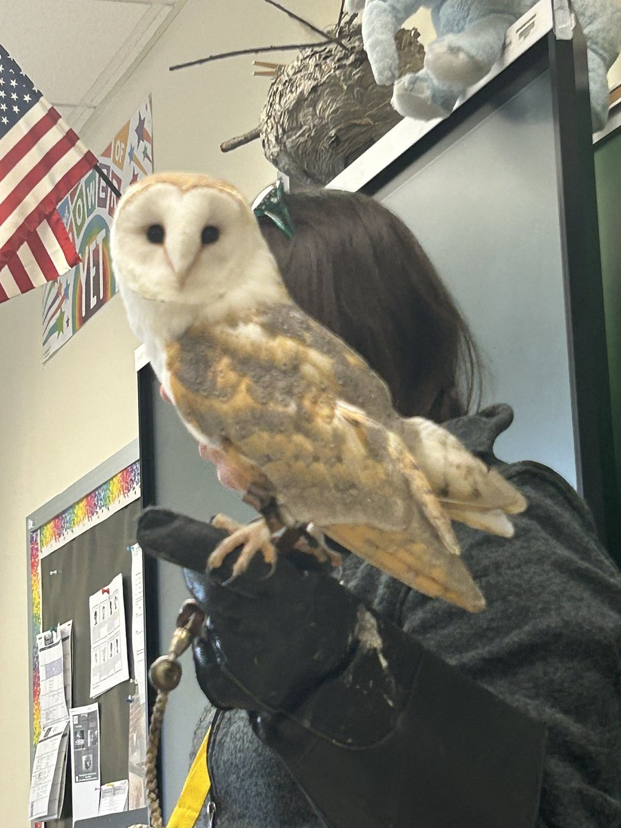 Jeni Vogel tweet media