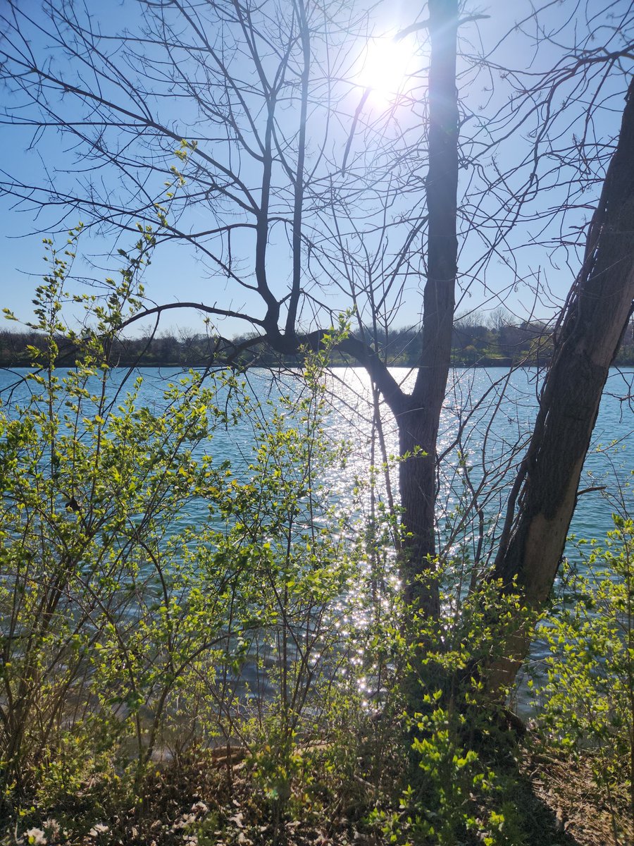 allysonkuepfer's tweet photo. Appreciate when friends encourage me to leave the writers cave. 

#nature #beautiful https://t.co/6iXmIiIvF6