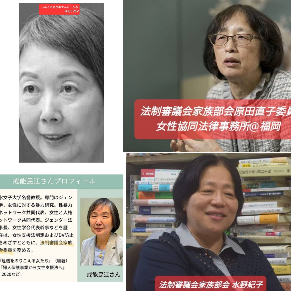 Japan's sole custody law took my baby away. on Twitter "共同親権 に反対する人たち