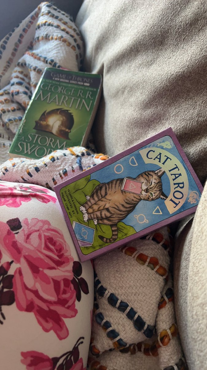 laynafacee's tweet photo. i can’t, i’m busy #tarot #cattarot https://t.co/9wNTdIrkSG
