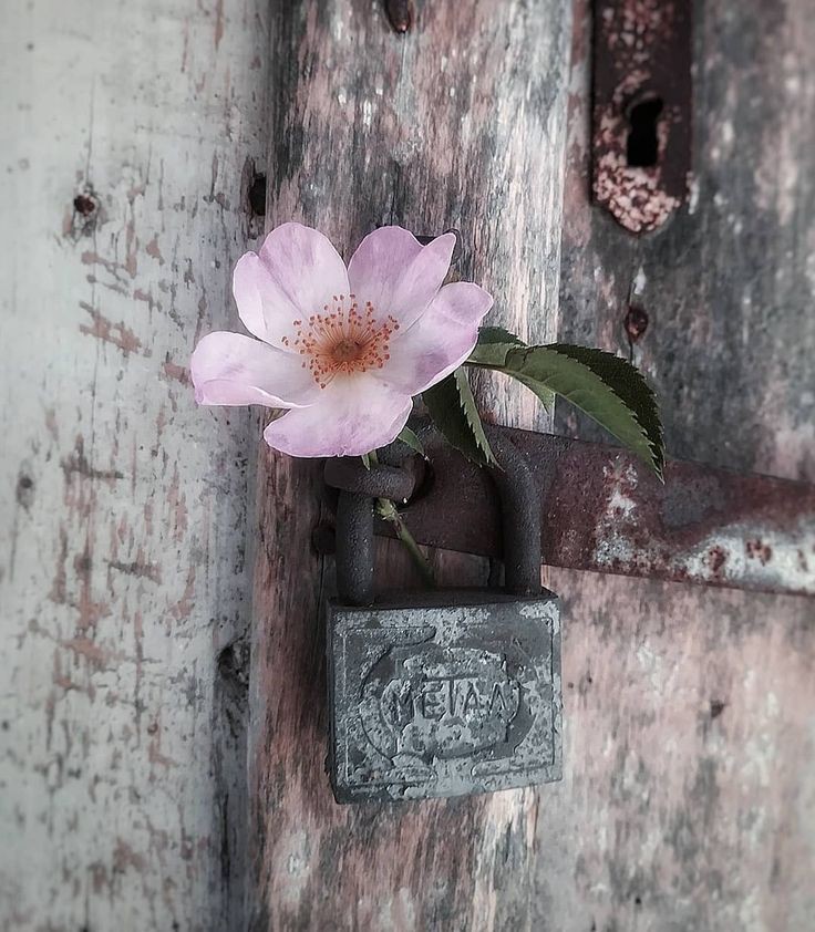 จงโบกโบยโผบิน
...แม้เหน็บหนาว
ใช่ว่าเราจะจากกัน
...นิรันดร์ไป

เป็นเพียงสายลมที่พัด
ให้สัมผัสได้
...เพียงร่างกาย
แต่ไม่อาจเป็นสายลม
ที่สัมผัสได้
...ถึงหัวใจ

จะเป็นสายลม "ที่หวังดี"
หรือ...
จะเป็นสายลม "ที่จากไป"