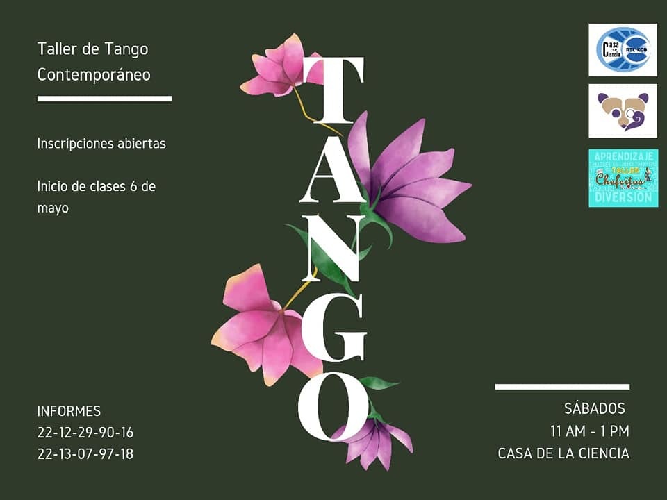 HechosdeAtlixco's tweet image. 𝘼𝙥𝙧𝙚𝙣𝙙𝙚 𝙩𝙖𝙣𝙜𝙤 𝙚𝙣 𝙇𝙖 𝘾𝙖𝙨𝙖 𝙙𝙚 𝙡𝙖 𝘾𝙞𝙚𝙣𝙘𝙞𝙖 𝙙𝙚 𝘼𝙩𝙡𝙞𝙭𝙘𝙤.

Continuar Leyendo Nota👉hechosdeatlixco.com/index.php/noti…
.
.
.
#HechosdeAtlixco #tangodance #tango #baile