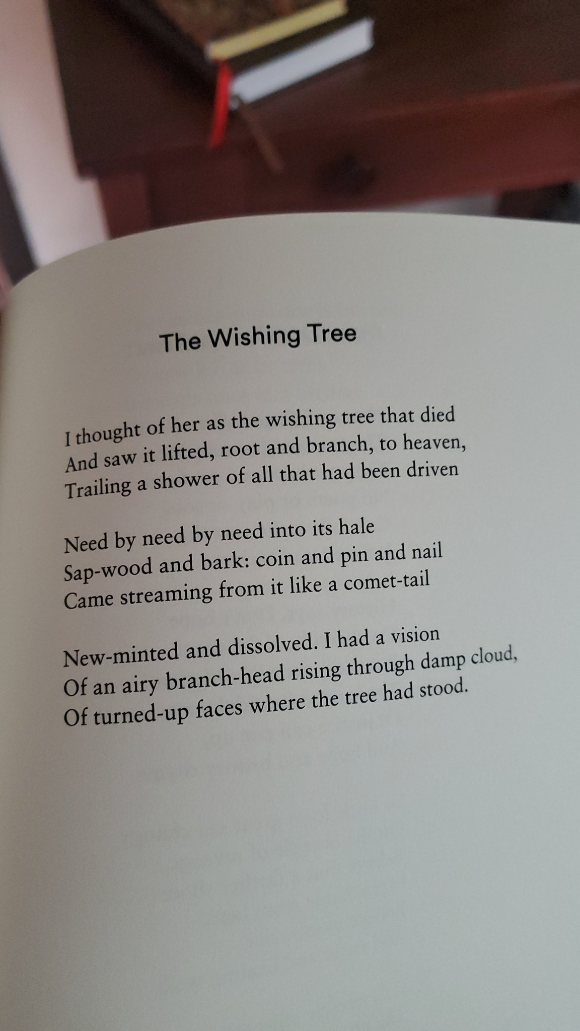 Happy birthday, Seamus Heaney. A tree is better for wishing on than candles. 
