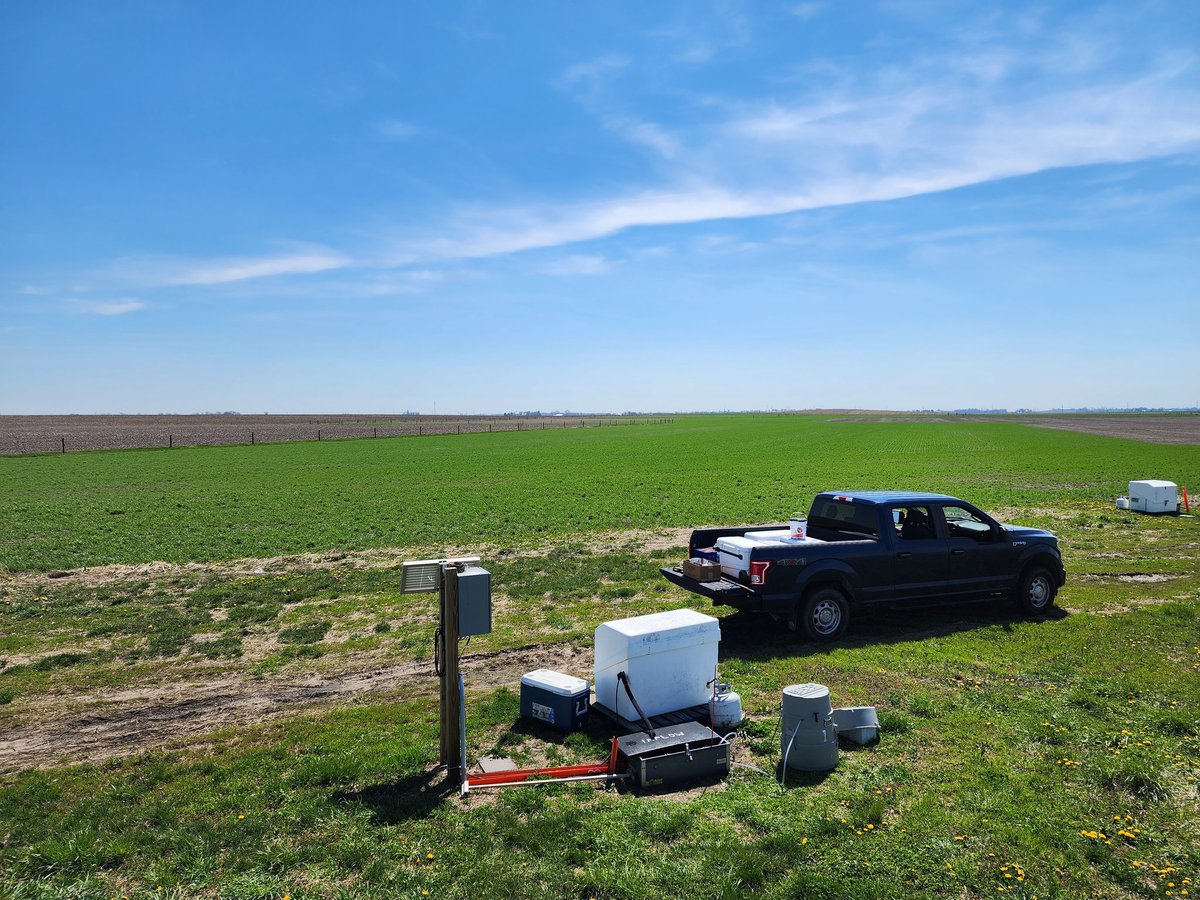 FarmGreer's tweet photo. Monitoring effect of cover crops on nitrate losses through tile drainage.  Next up, tracking cover crop decomposition and nutient availability.  @IL_DrainDrop @PrezaFontes @SpanishWoodBio @laoliveira21 https://t.co/vOEe77iOfq