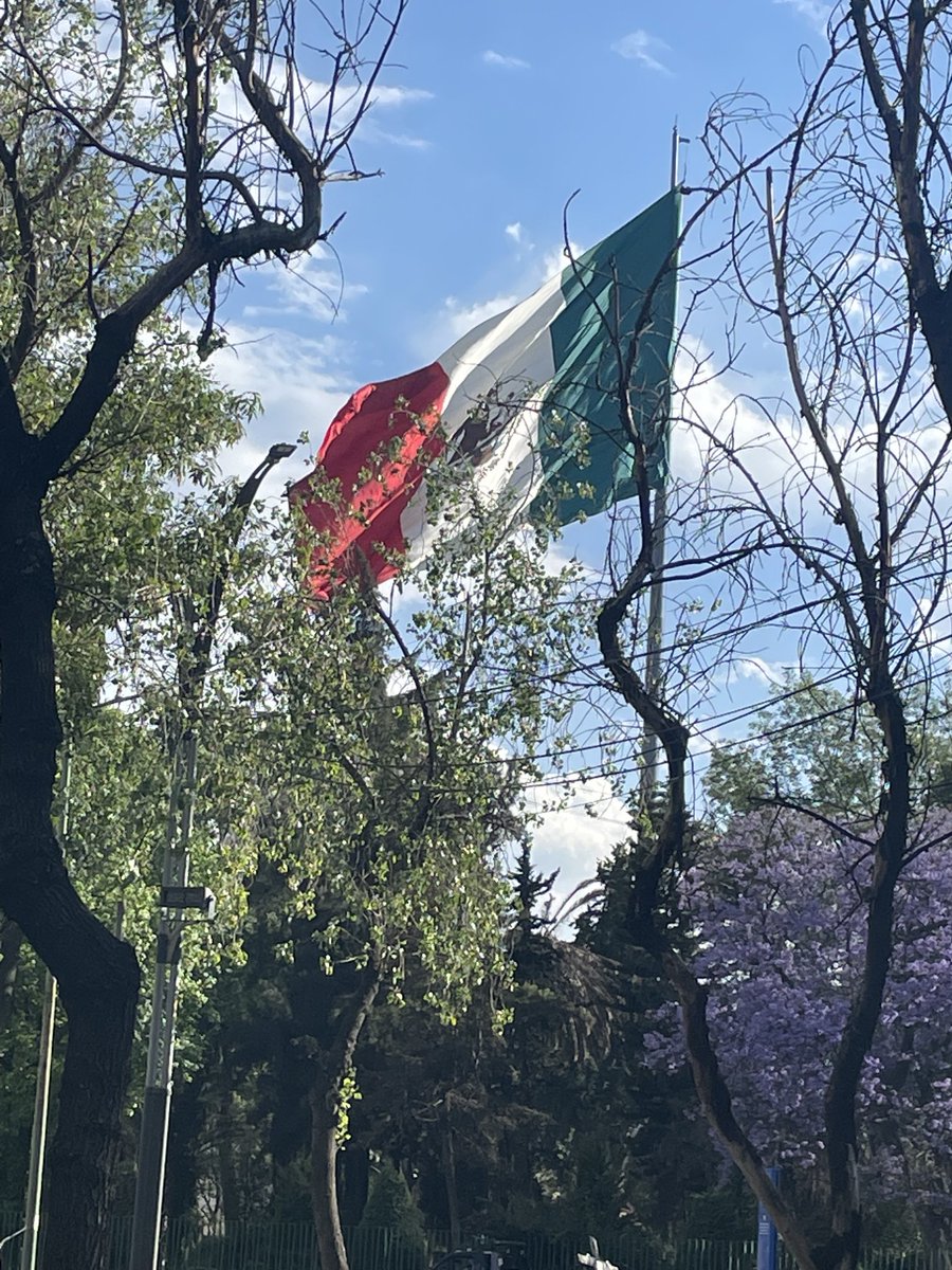 Zia Daniell Wigder tweet media