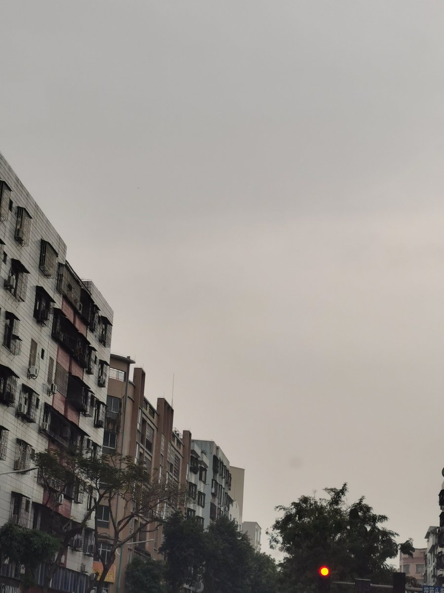 LinkThabit's tweet photo. 蒙蒙，它躲起来了 https://t.co/TN7Fw5Ed7D
