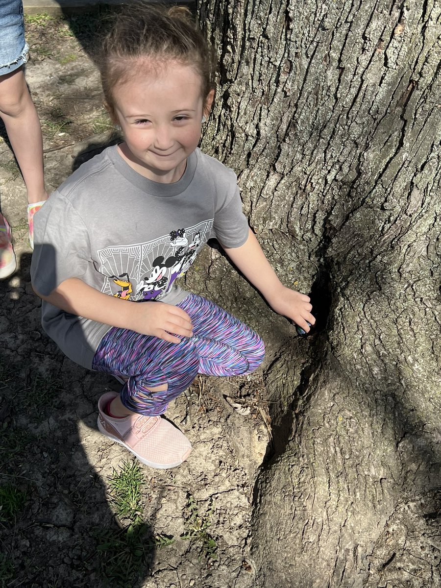 DubsD91's tweet photo. Kindness rocks! MG Kindness Club members hid painted rocks around the school today. Next up, chalk messages to welcome students to school tomorrow. 😊 @Lockport91 @kwilkey1 https://t.co/GCgPQKBVkK