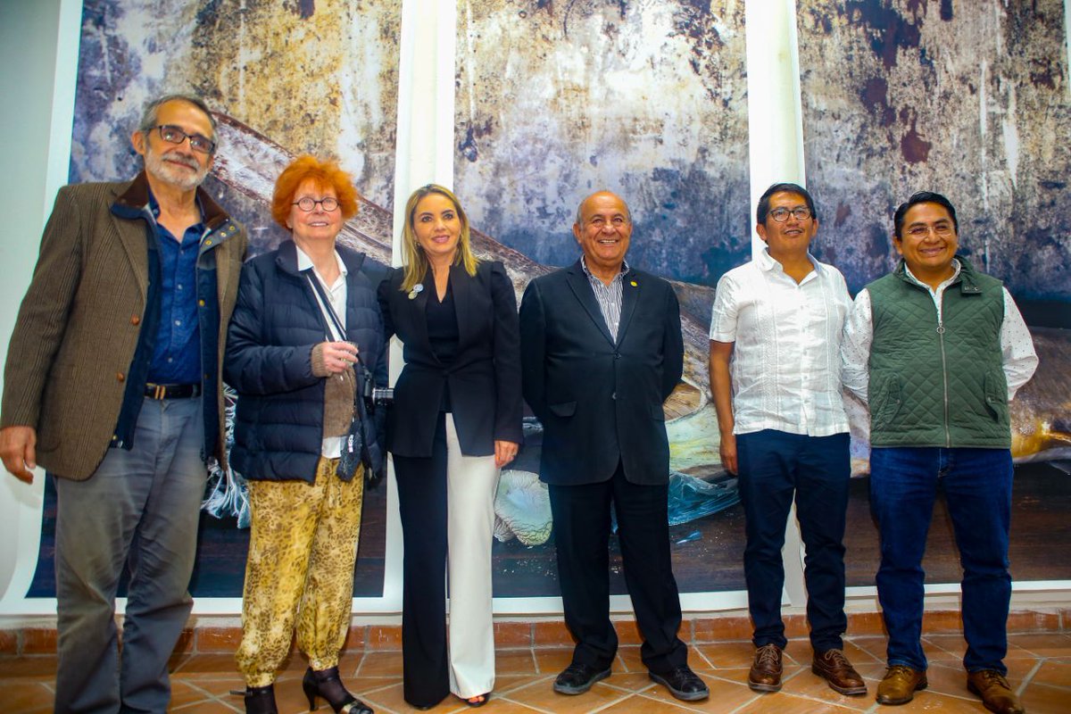 Paola_Angon's tweet photo. ¡Museo Casa Caballero Águila está de manteles largos 🙌🏽!

Recibimos dos exposiciones internacionales, que estarán hasta el 🗓️25 de junio exhibidas para disfrute de locales y visitantes: 

“Pleroma” de Vera Mercer🇩🇪 y “Wee Ones” de Joe Broghammer🇺🇸 , ¡los invito a visitarlas! https://t.co/sOKUueV0ag