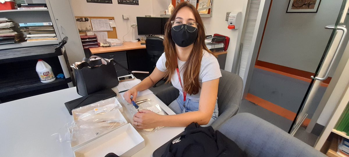 DonlonErica's tweet photo. Its so amazing to have museum collections with a large range of historic samples just waiting to be analysed
Here, I am sampling a tiny bit of #GiantAustralianCuttlefish #cuttlebone to analyse for #StableIsotopes
Thanks to @SAMuseum for allowing me access to their collection😊 https://t.co/Q8ntrXEdug