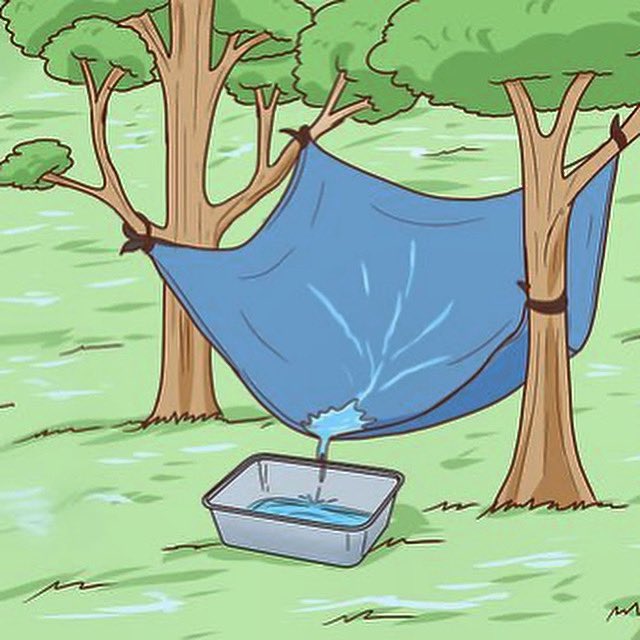 easyprepper101's tweet photo. Great way to catch fresh water in a survival situation. #survival #freshwater #shtf #shtfpreparedness #prepping https://t.co/TaPzq6OBSX