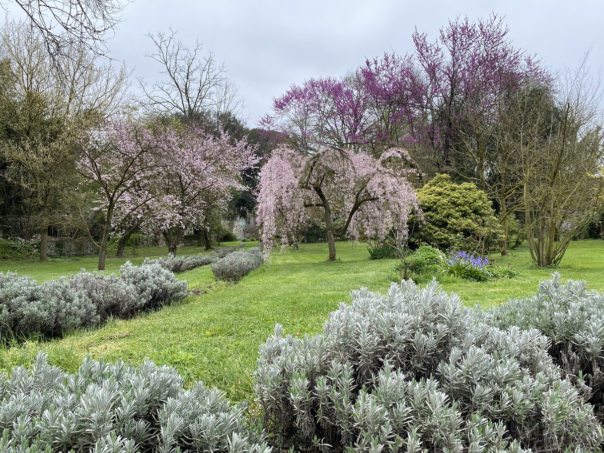 SandySkon's tweet photo. @wantedinrome Same garden, exactly one week ago.  Absolutely lovely. https://t.co/NUGkW0wp7J