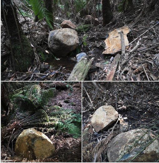 KinglakeForest's tweet photo. Moreover, rocks ended up in the actual stream following dynamiting by the road contractors.
Another #VicForestsFail
📷 WOTCH https://t.co/ZJsbrnFvhV