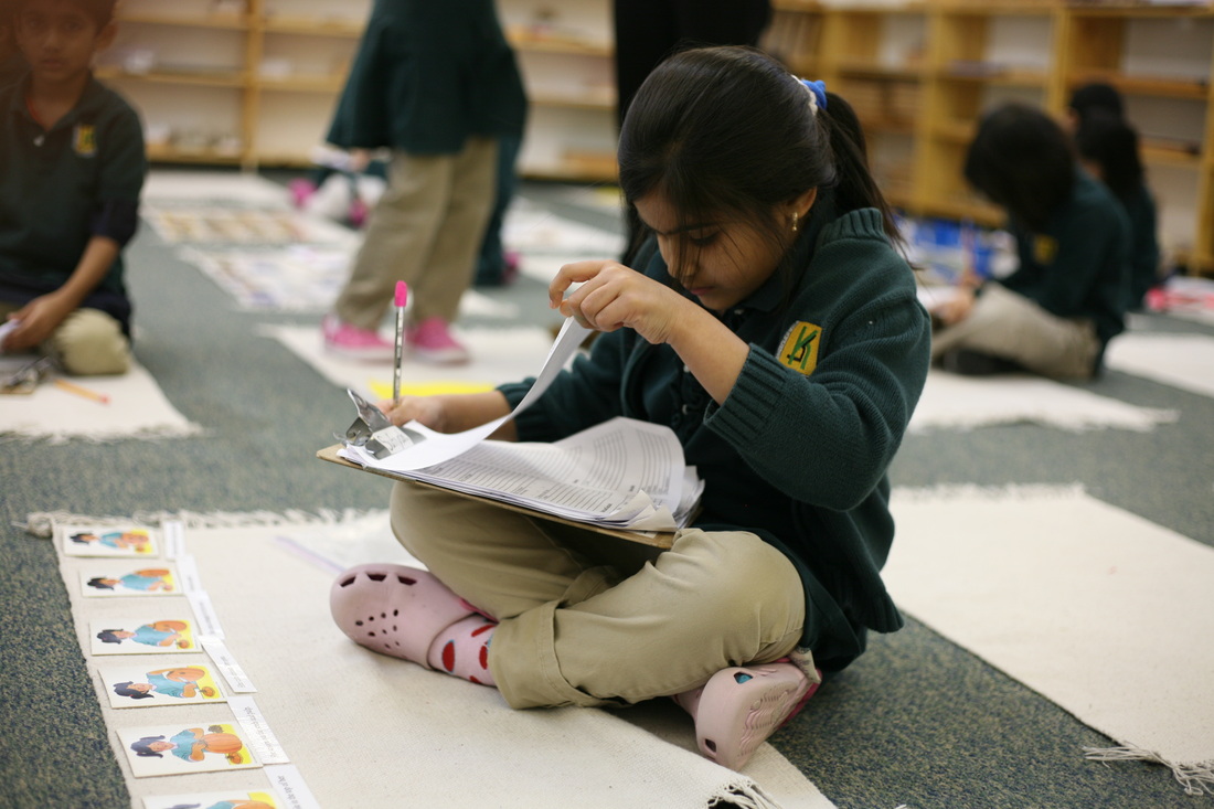 KindiAcademy's tweet photo. New Student Registration Open. Ages 3 to High School. - https://t.co/6BLYtIvF1R https://t.co/mEuGXNIENP