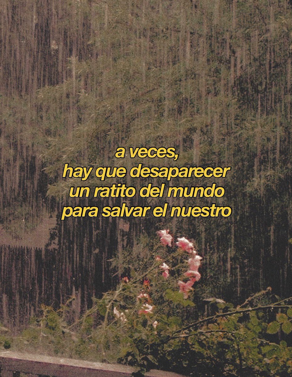 ramé (@escritosrame) on Twitter photo 