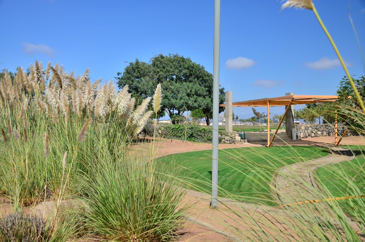 #laserena #parquelosllanos