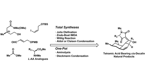 Angewandte Chemie (@angew_chem) on Twitter photo #TotalSynthesis of Diverse Tetramic Acid Bearing cis-Decalin Natural Products (Xiaoguang Lei and co-workers) <a href="/PKU1898/">Peking University</a> onlinelibrary.wiley.com/doi/10.1002/an… #TotalSynthesis of Diverse Tetramic Acid Bearing cis-Decalin Natural Products (Xiaoguang Lei and co-workers) <a href="/PKU1898/">Peking University</a> onlinelibrary.wiley.com/doi/10.1002/an…