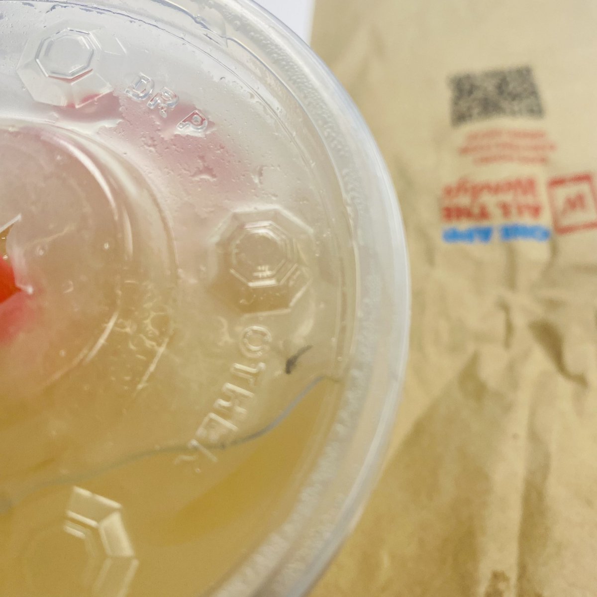 ReikiBar's tweet photo. When I ordered a pineapple mango juice. I never expected I’d be getting a flying friend surprise. So disappointed @Wendys  Middletown, NY https://t.co/QAuPRHEYYO
