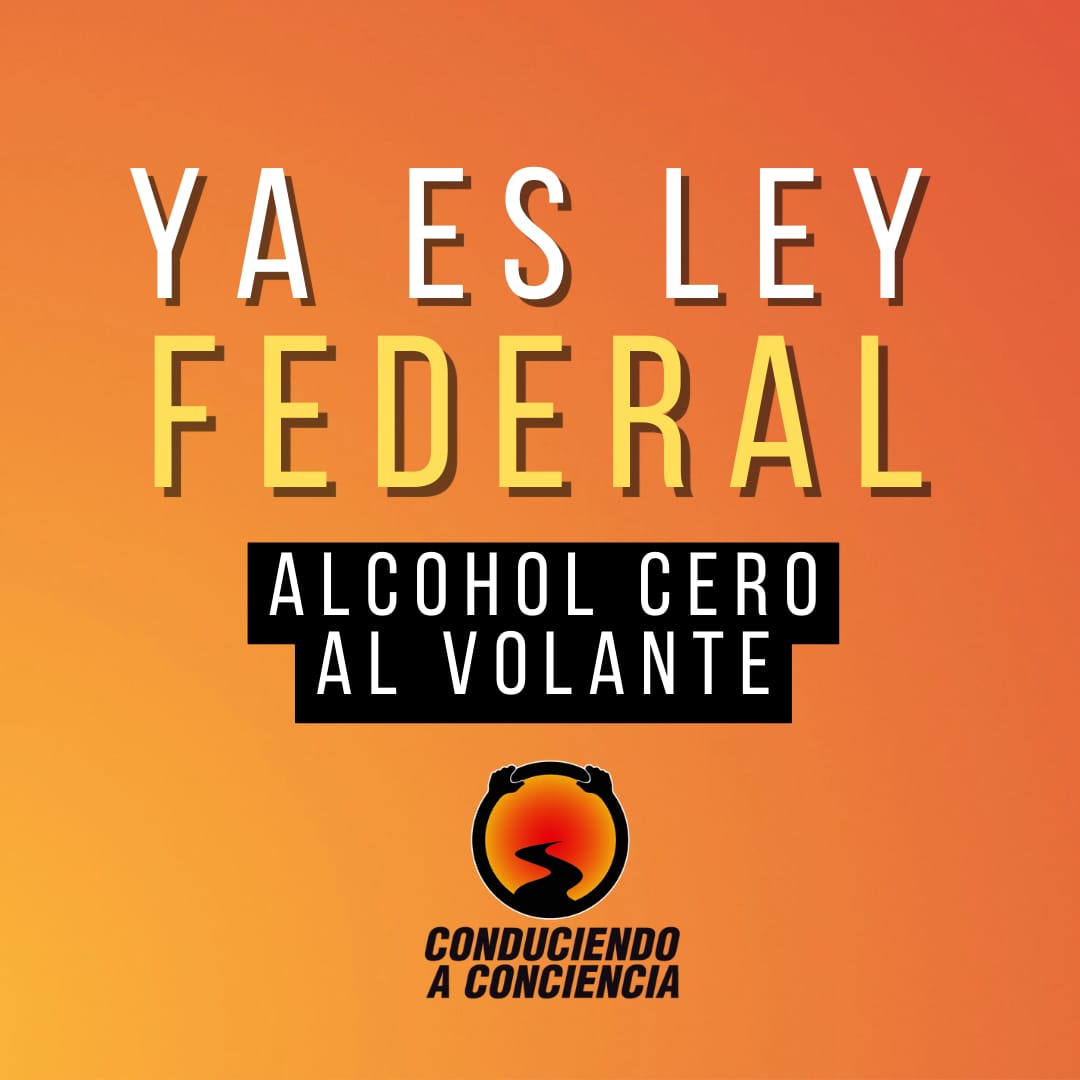 conduciendoCAC's tweet photo. Todos fuimos
Todos somos
Todos podemos ser
#leyalcohol0alvolante https://t.co/5flJm0vCN0