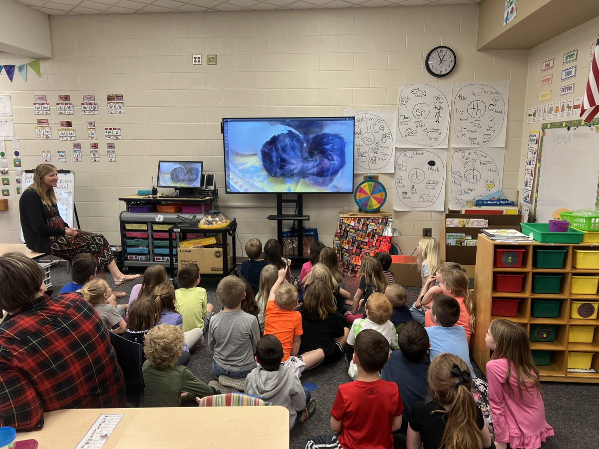 hartmankinder's tweet photo. Talk about an egg-citing week!! Kindergarten had 14 chicks hatch! 🐣 https://t.co/1BzNwh93hd
