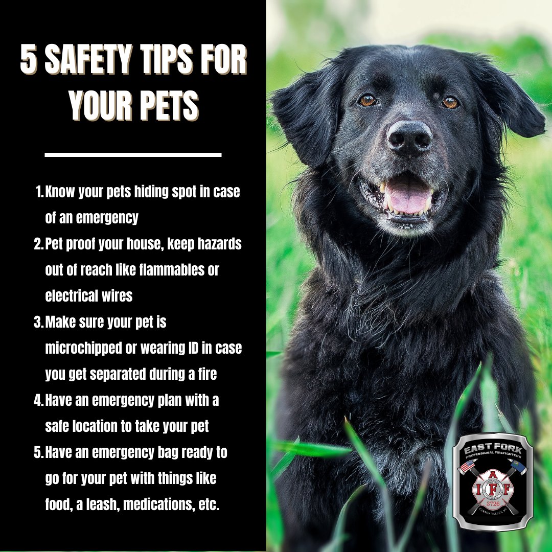 EFPFirefighters's tweet photo. Did you know that April is National Pet Month? Keep your furry friends safe by checking your smoke alarms regularly and creating a pet evacuation plan. https://t.co/qp5MpquT1J