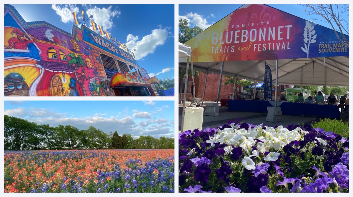 The Ennis Bluebonnet Trails Festival kicks off tomorrow!!!! On April 14-16, enjoy carnival rides, shopping vendors, delicious food, Wine Wander, live music and over 40 miles of beautiful bluebonnet driving trails!
Festival Schedule: bluebonnettrail.org