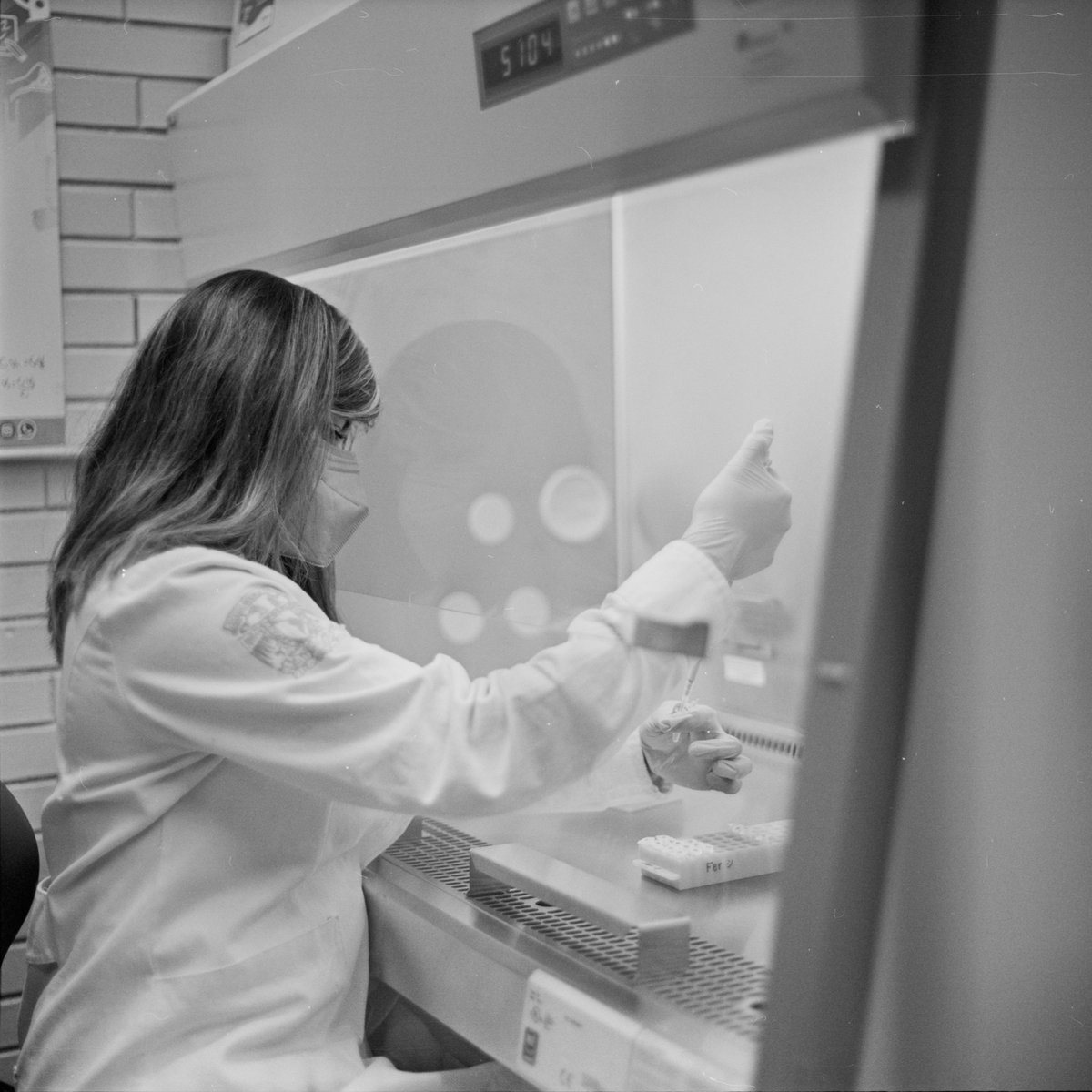 AHG_Lab tweet picture