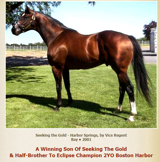 EmeraldDowns's tweet photo. Emerald Downs opens in just 23 days.
Did you know Harbor the Gold was the leading sire by wins 10 times including eight straight.
#TheRushReturns https://t.co/iJzaTouZjL