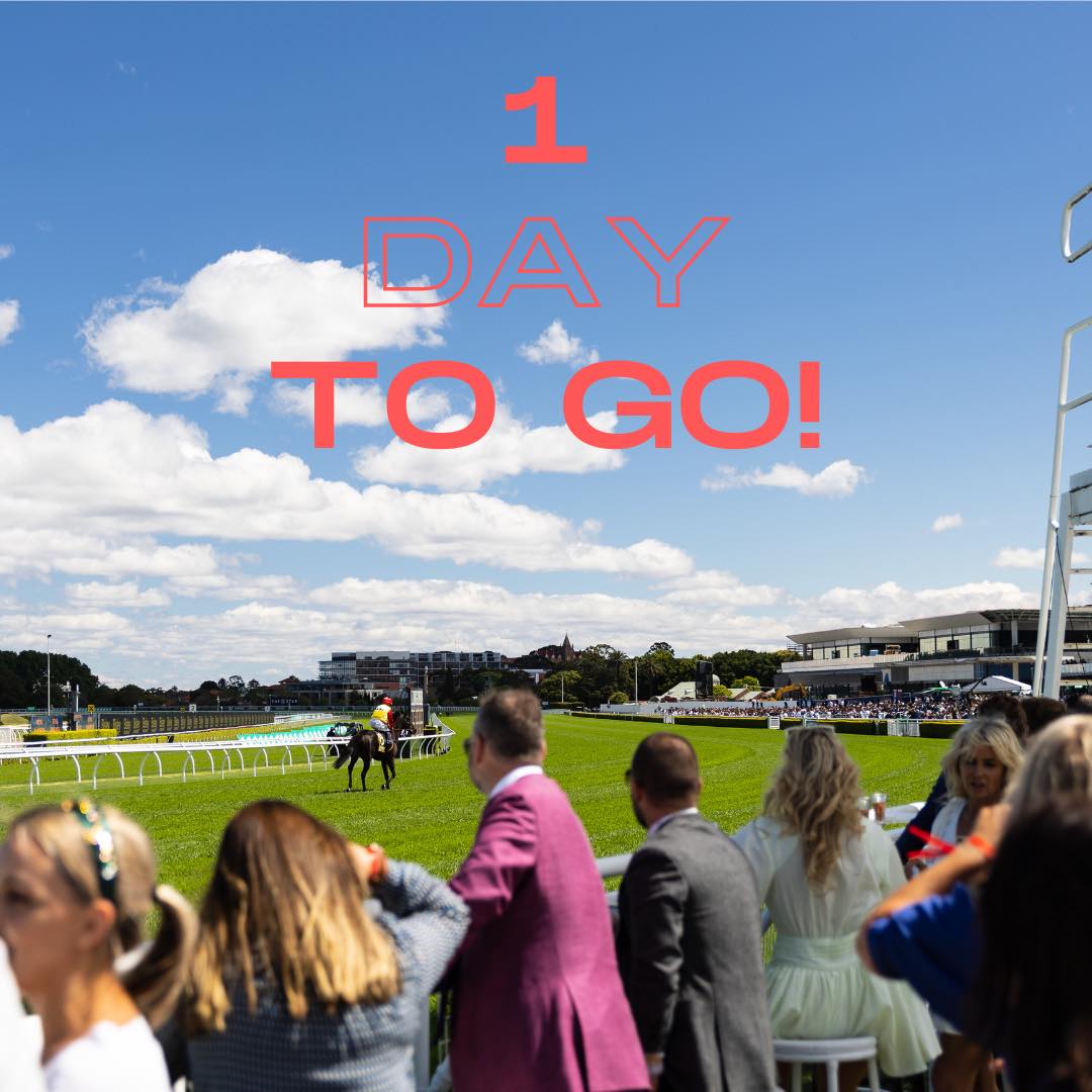 This is it! ONE DAY TO GO before our Trackside Party at Randwick. Still haven’t got your ticket? Visit the link 📷 raceconnects.com.au