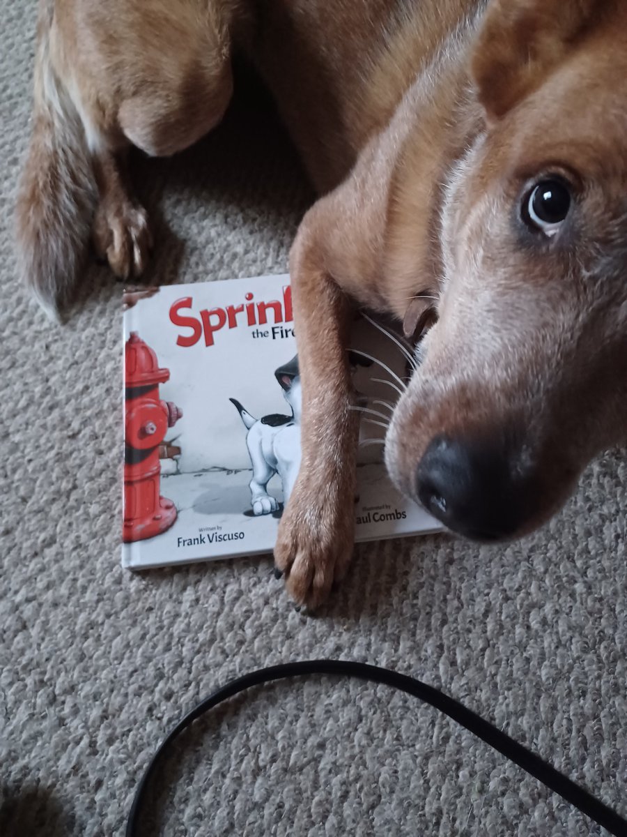 BloodofBaptist's tweet photo. I'm teaching my dog how to read. Half of her curriculum came in today. #SprinklesTheFireDog writing by @frankviscuso and art by #PaulCombs! A Beautiful Book! River and I love it and look forward to book 2 coming in the mail. https://t.co/1ot2Y1rpmD