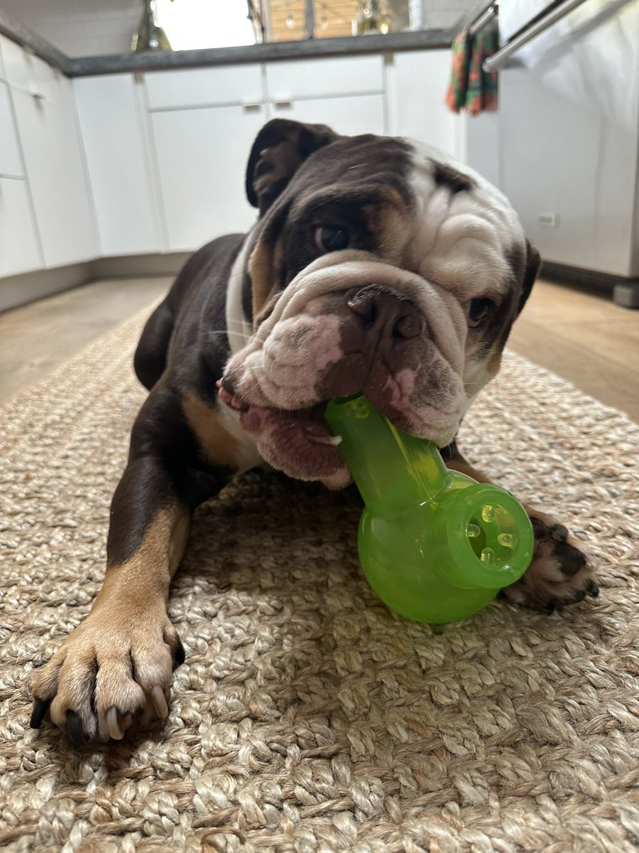 craymusic's tweet image. BEEF CONFIRMED STONER !!!