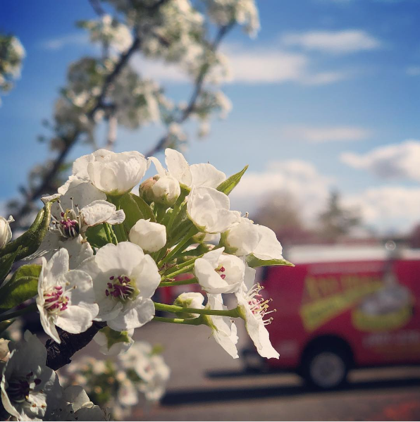 AnyhourServices's tweet photo. #throwbackthursday #anyhourservices #electrical #plumbing #hvac #homeowner #utah https://t.co/oLXDbtbTPj