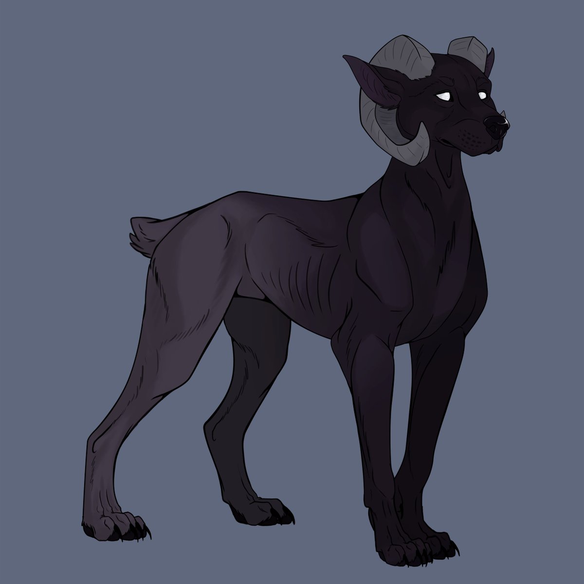 MissMeleni's tweet photo. Amoroks do not cast shadow, or make a noise when they walk. When they do bark, it's a hollow and ghastly noise. They can see through walls up to six inches thick, meaning they make perfect guard dogs.

#DnD #dungeonsanddragons #myart #demon #illustration #canine https://t.co/aXsrdQJJHY