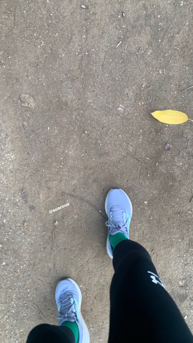 suarcus's tweet photo. #Jueves que te quiero #Jueves aquí sacando el entrenamiento con buenos km 🏃🏻🏃🏻 👌🏻 series donde trabajamos la fuerza, la resistencia y coordinación #nospreparamos #Runner @ComuniRunners @ManicomioRunner #somoslocos y #somosmaslocos #surestemexicano https://t.co/kfX3H0Z8AI