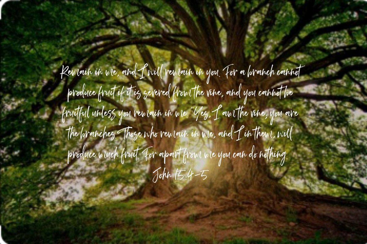 John 15:4-5 NLT