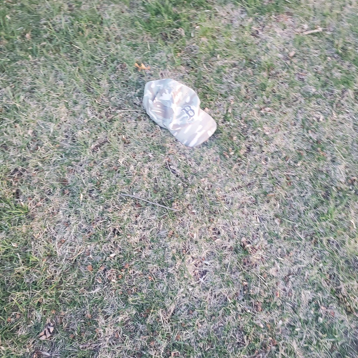 WinnerofWinners's tweet photo. Shit in the grass https://t.co/gJ3bWjNL9h