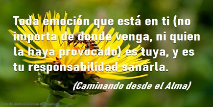 Cdesdeelalma's tweet photo. #emociones    #sanar    #transmutar https://t.co/iHytGirbsc